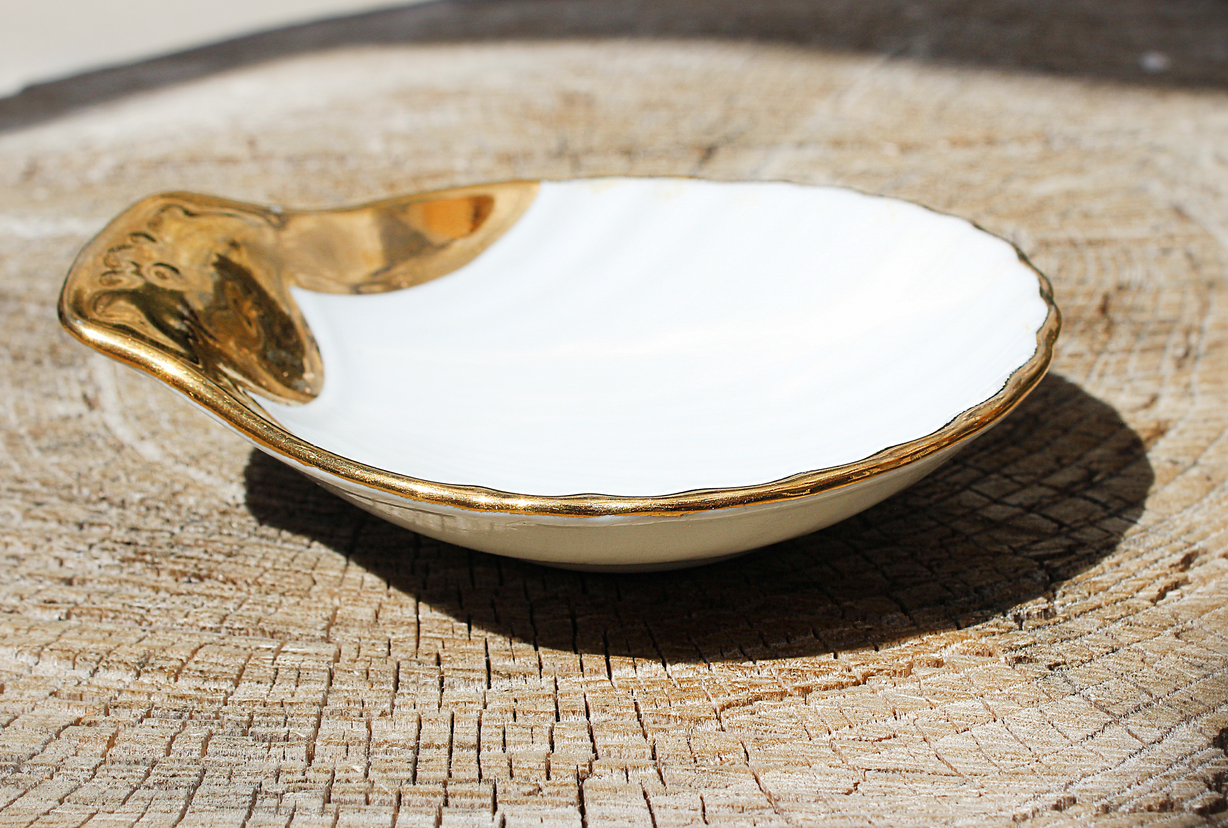 White Gold Shell 4.png