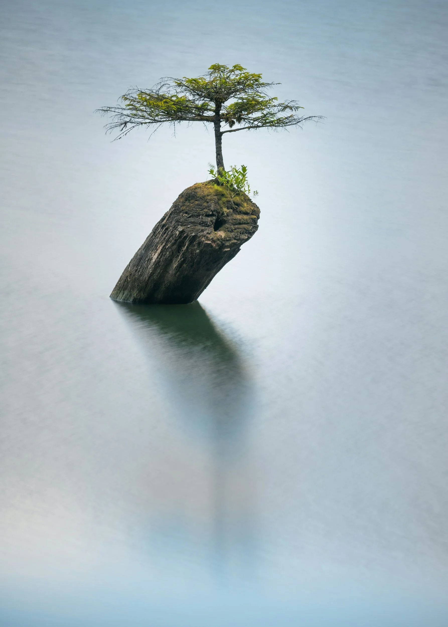 Growing Resilience Through Life’s Challenges