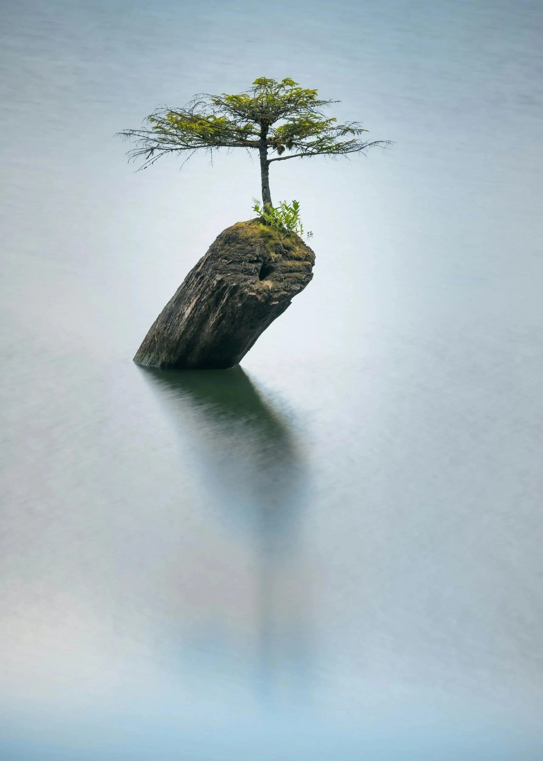 Growing Resilience Through Life’s Challenges