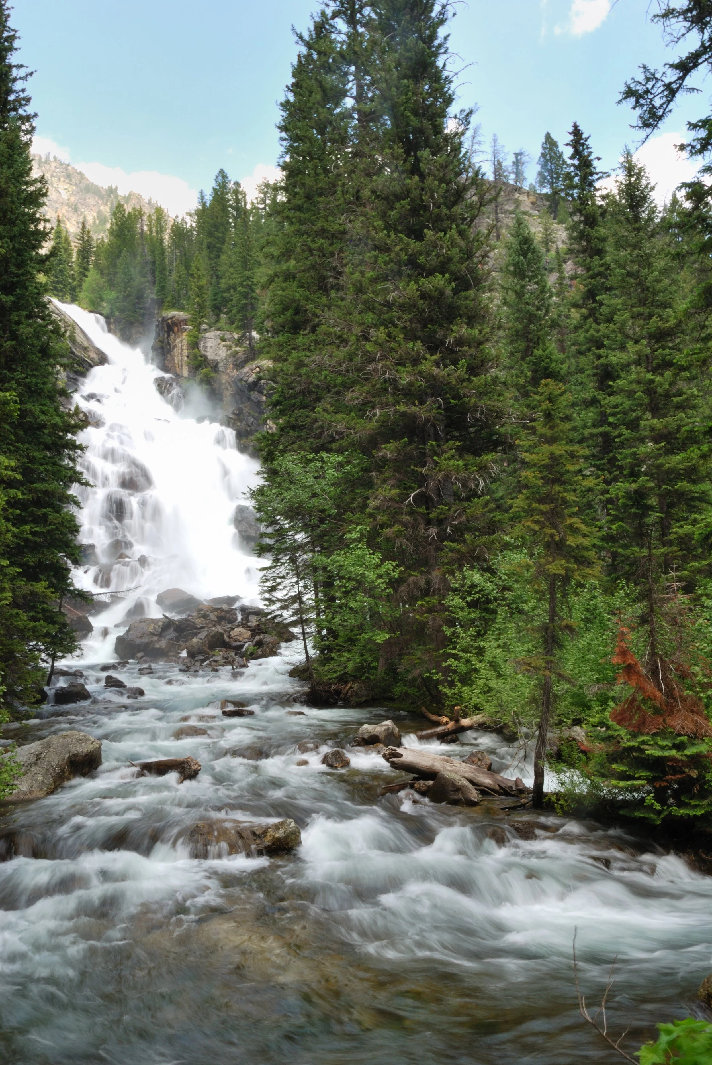 A mountain waterfall cascading over rocks surrounded by tall evergreen trees in a forest, with a blue sky and clouds overhead.