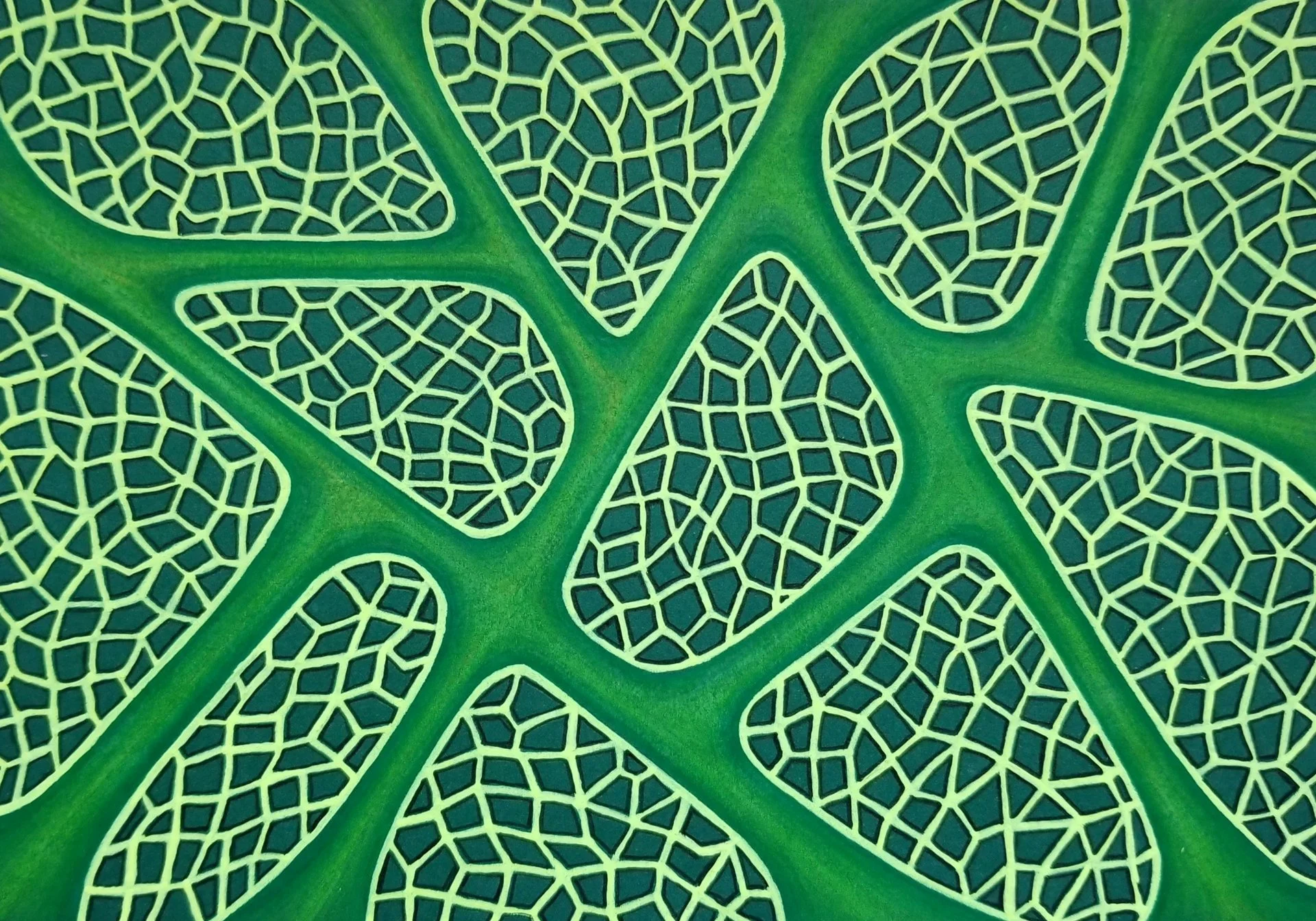 Alison Dennis, Cellular Walls