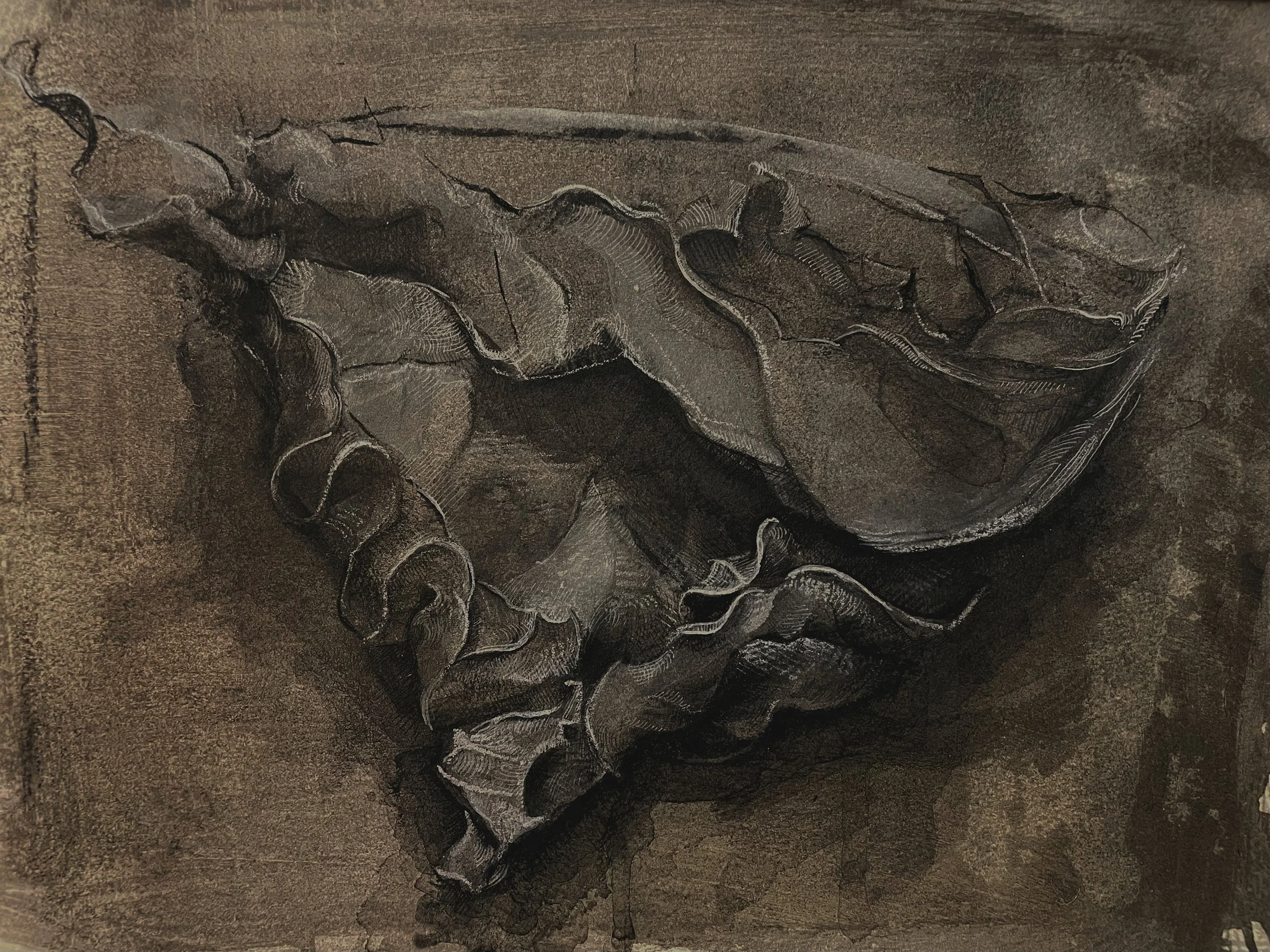 Margaret Strother / Large Leaf Study