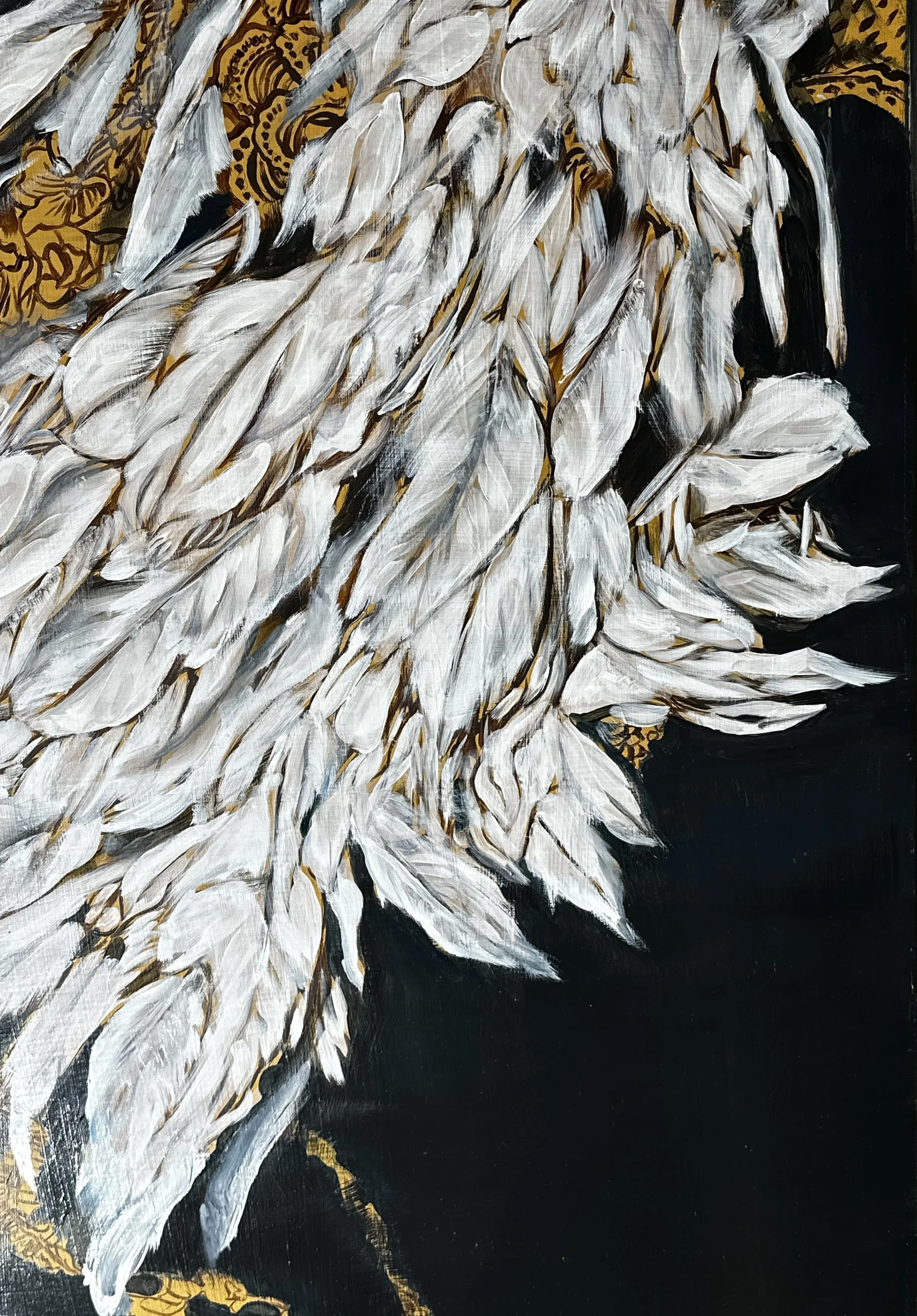 Kimber Shiroma, Feathers