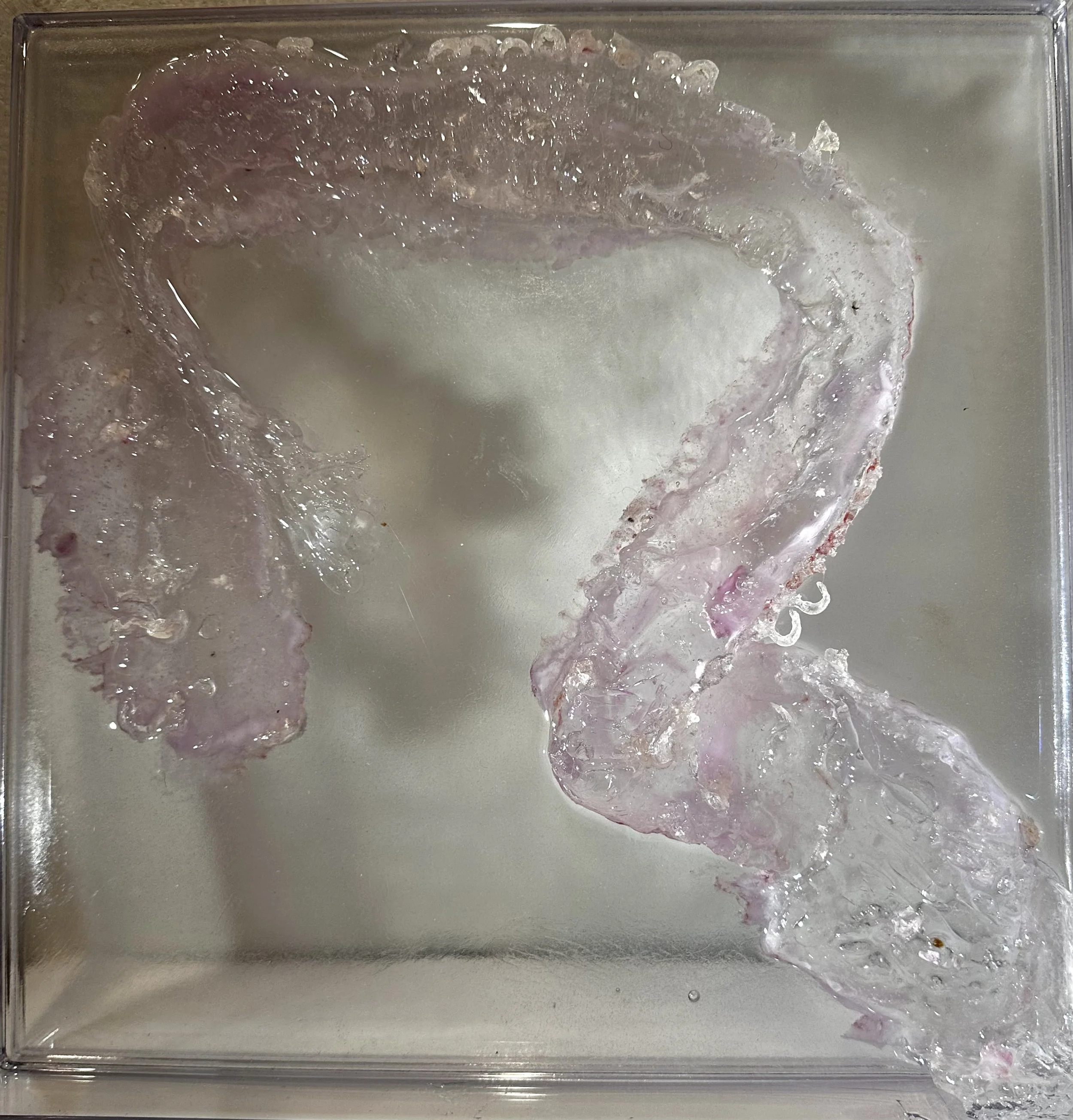 Kimber Shiroma / “Clear Painting”