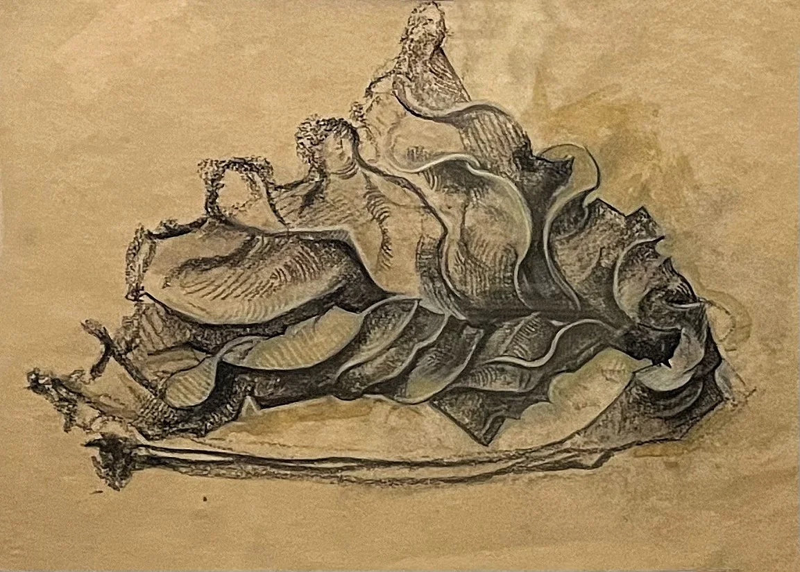 Margaret Strother / Small Leaf Study