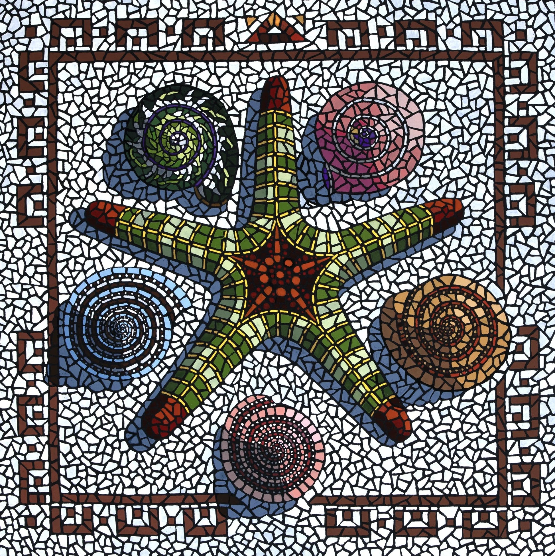 David Cohen, Starfish and Shells