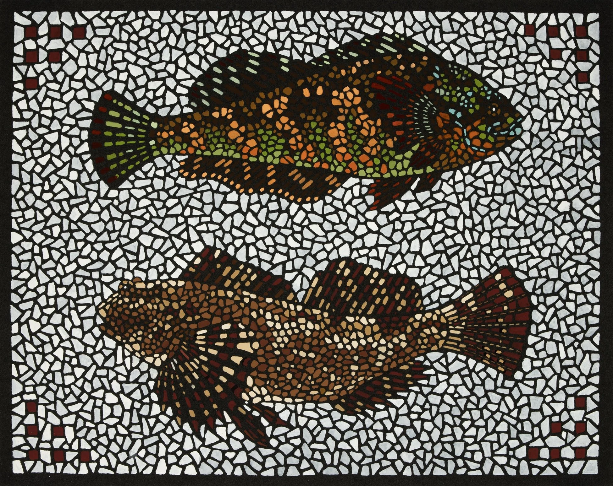 David Cohen, Rock Greenling/Cabezon