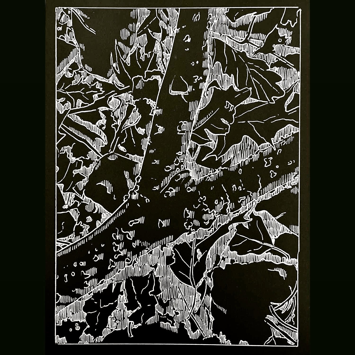 Anna Kaufman, Hudson Valley Ground, Spring (3/3)