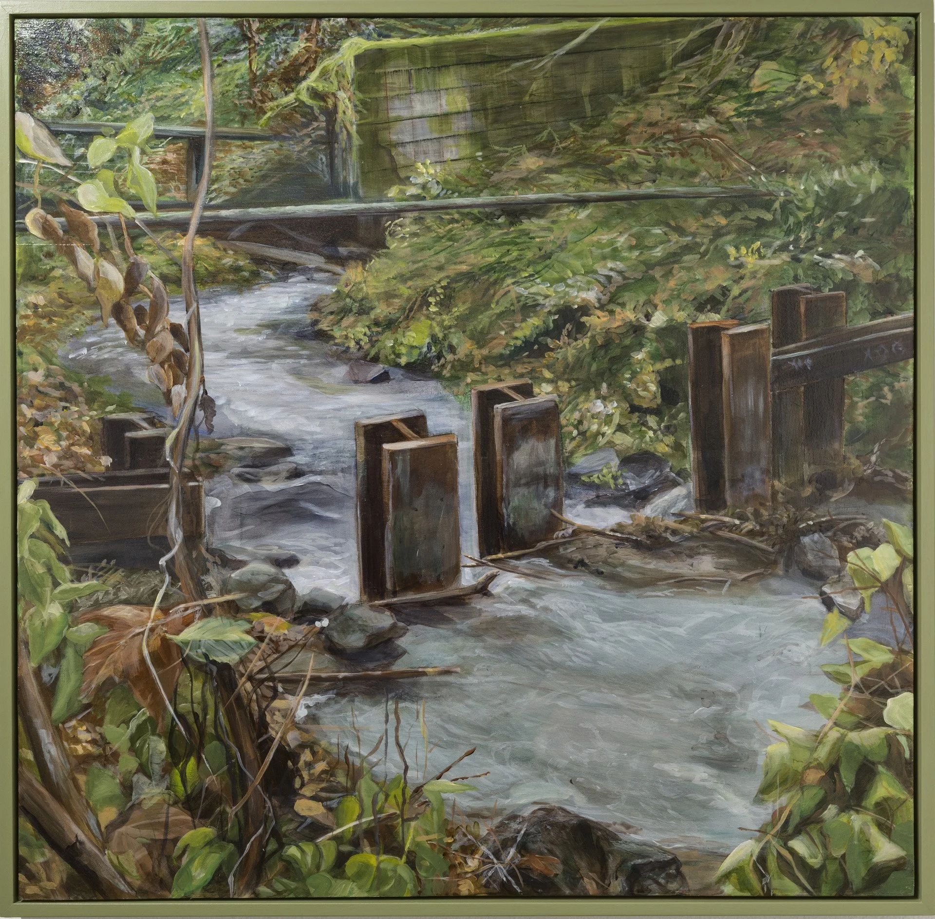Spring celebration, chandelier blossoms on kulla kulla Creek by Nancy Helmsworth