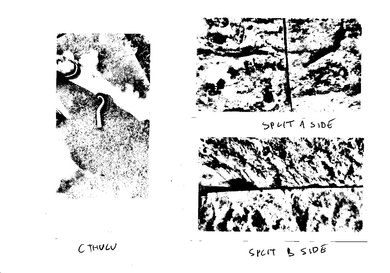 Banik_March2026_SketchBookPrints (14).jpg