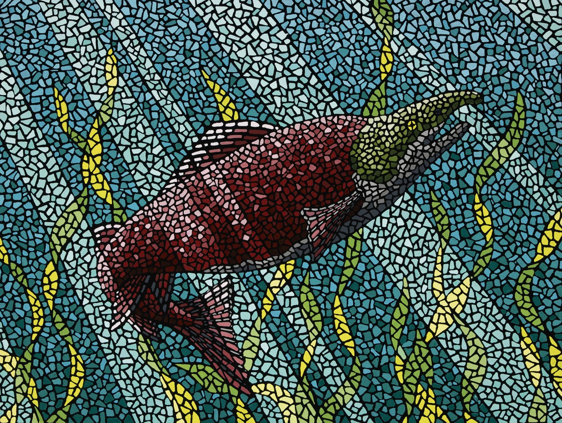 David Cohen, Salmon