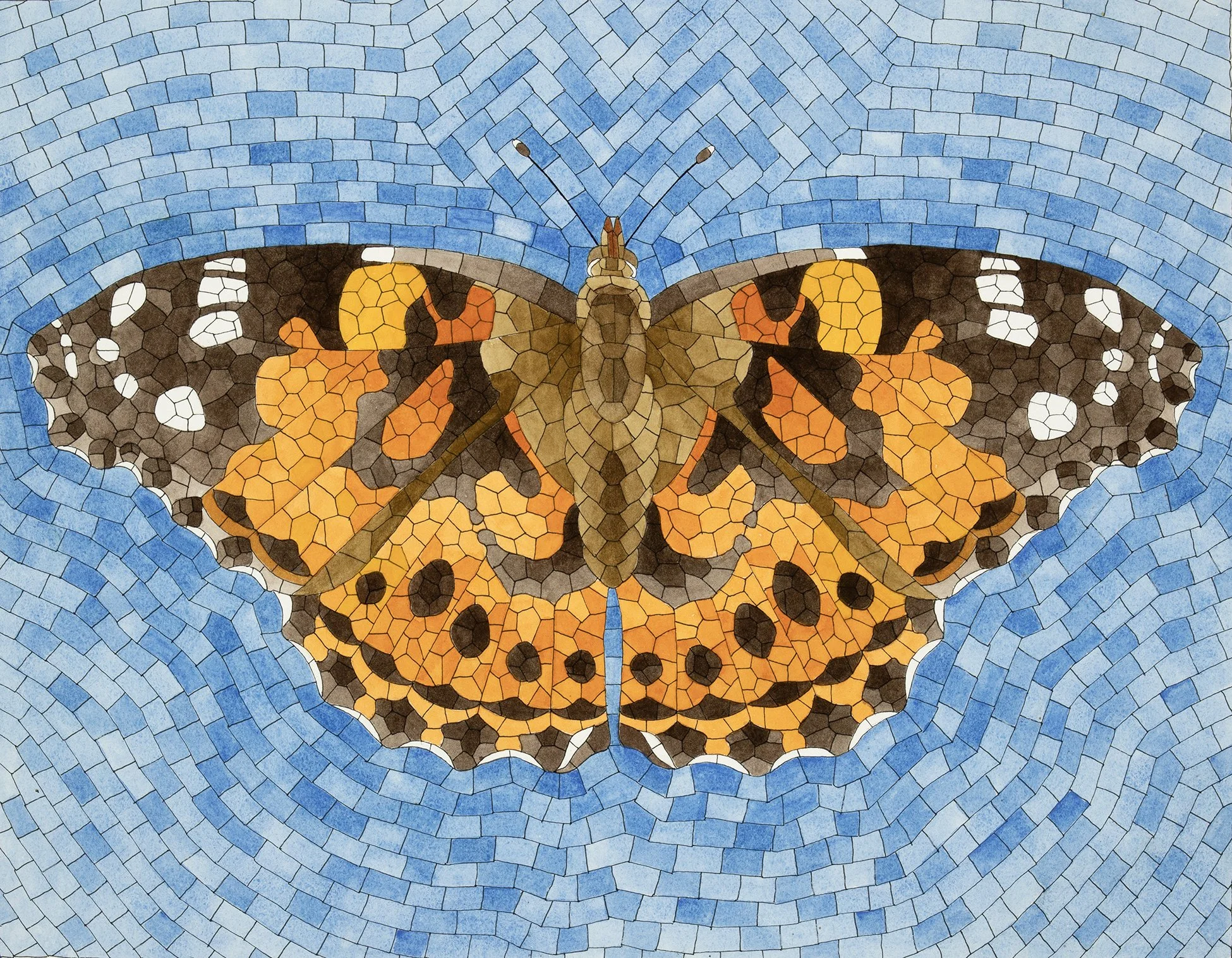 David Cohen, Painted Lady