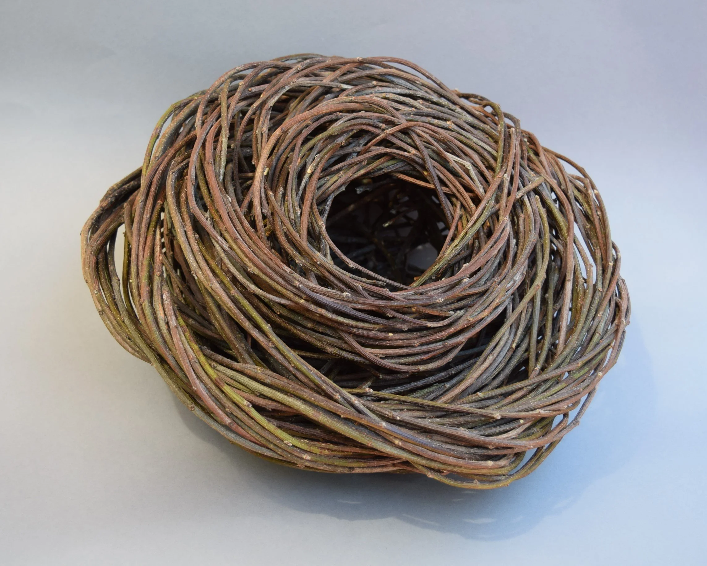 Julie Johnson_Eddy.JPG