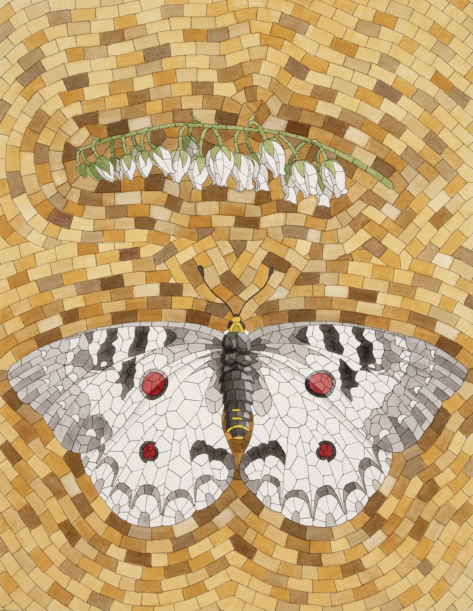 David Cohen, Clodius Parnassian