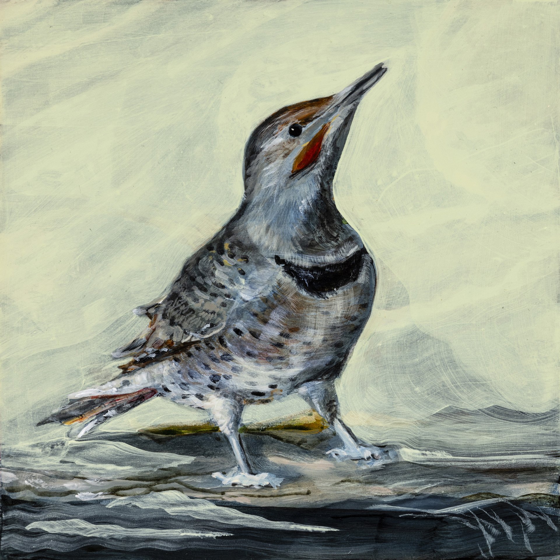 Nancy Helmsworth _Flicker wading.jpg