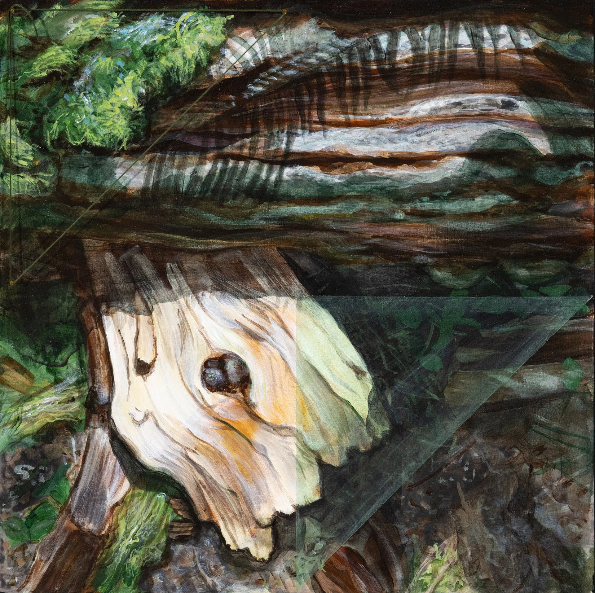 Nancy Helmsworth. Shadows overlap