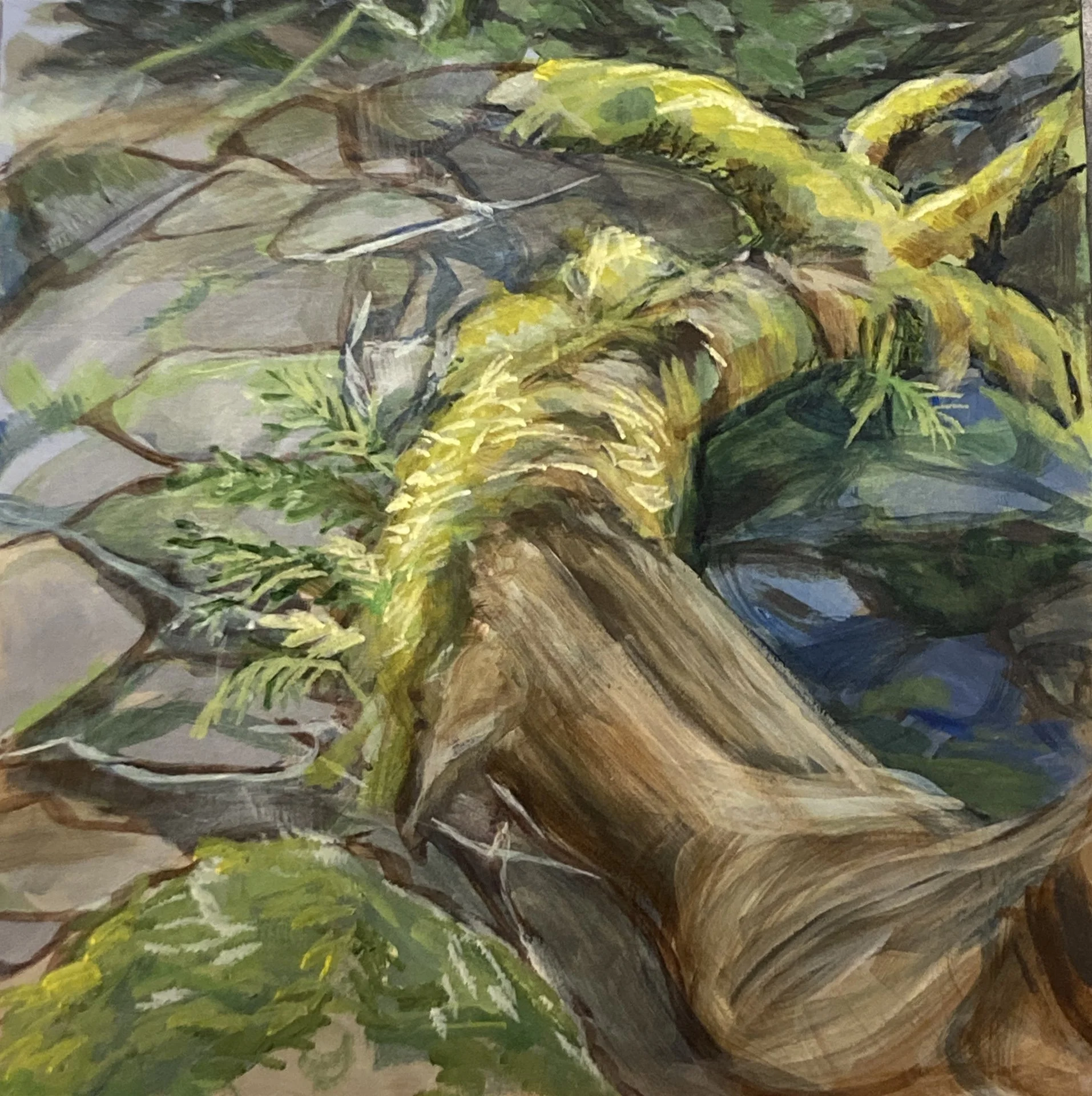 Nancy Helmsworth, Mossy branch, study