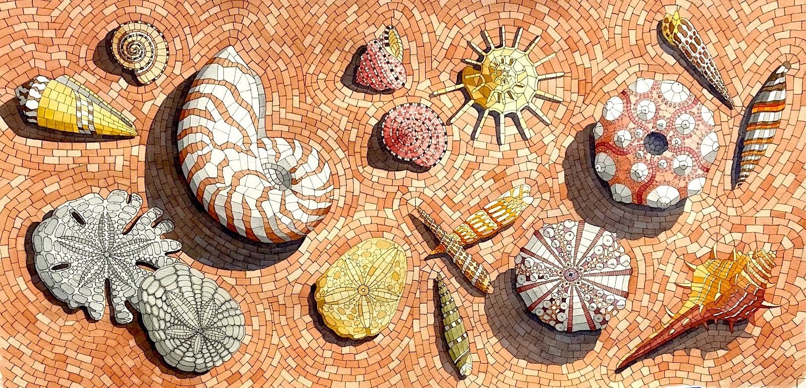 13-dc-shells-mosaic-jpg-copy_orig.jpeg