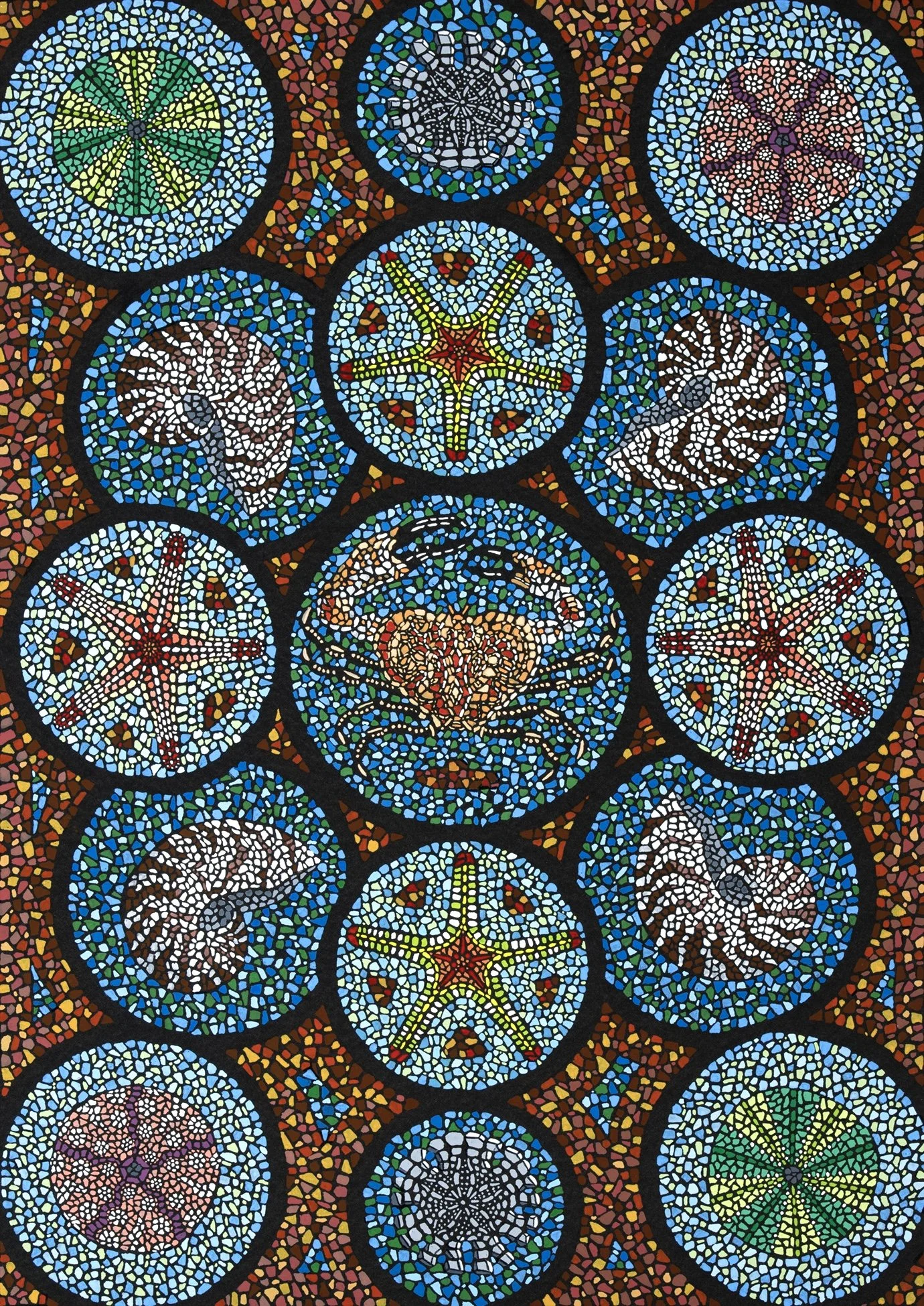 David Cohen, Sea Life