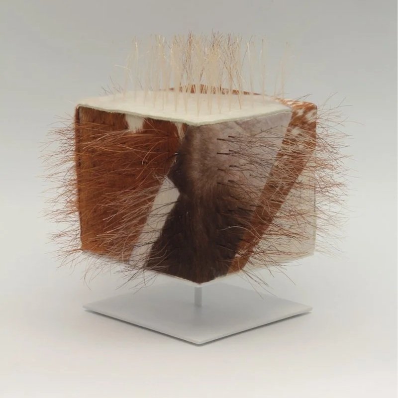 Topaze Moore, cowhide cube