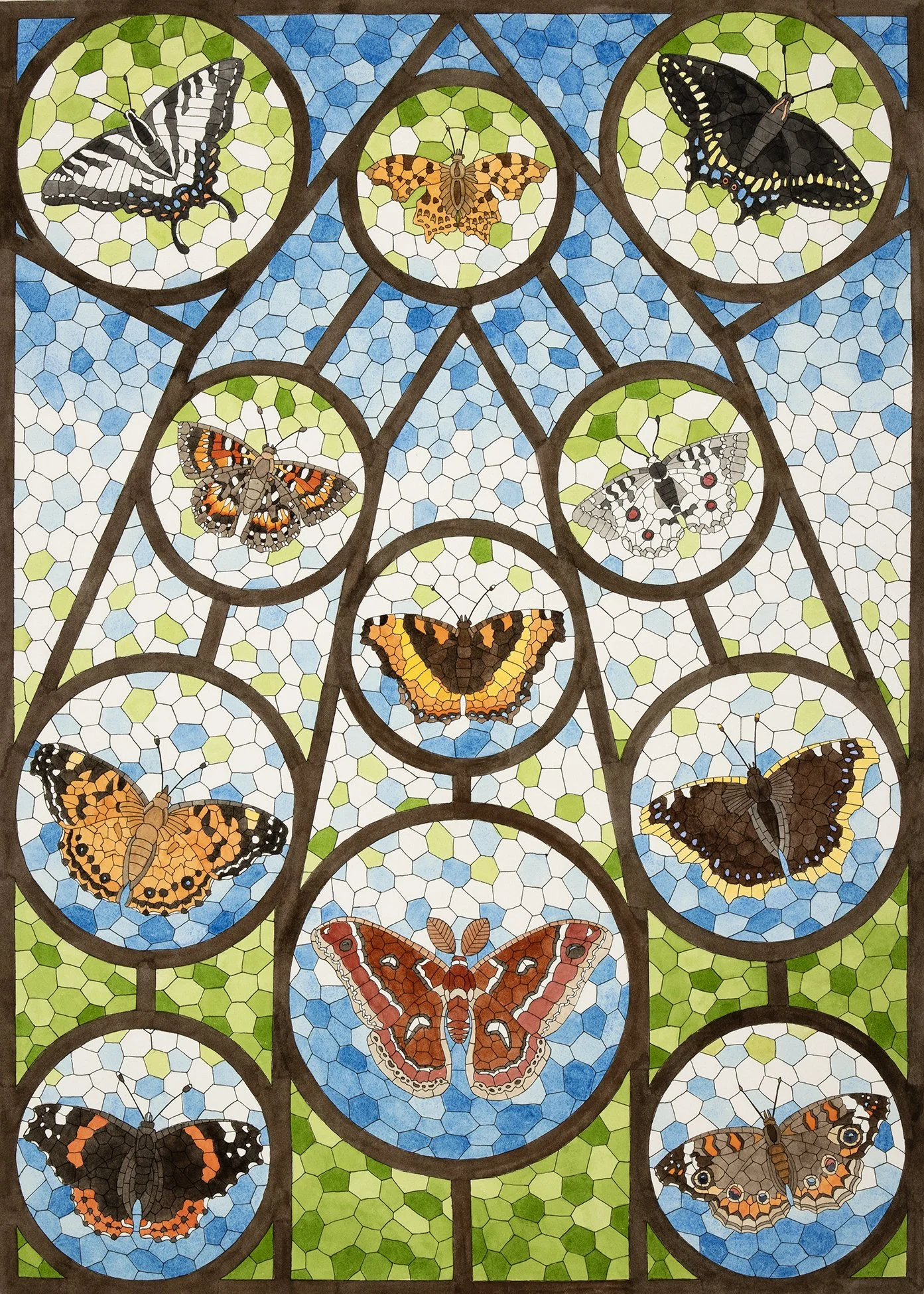 David Cohen, Butterfly Sanctuary