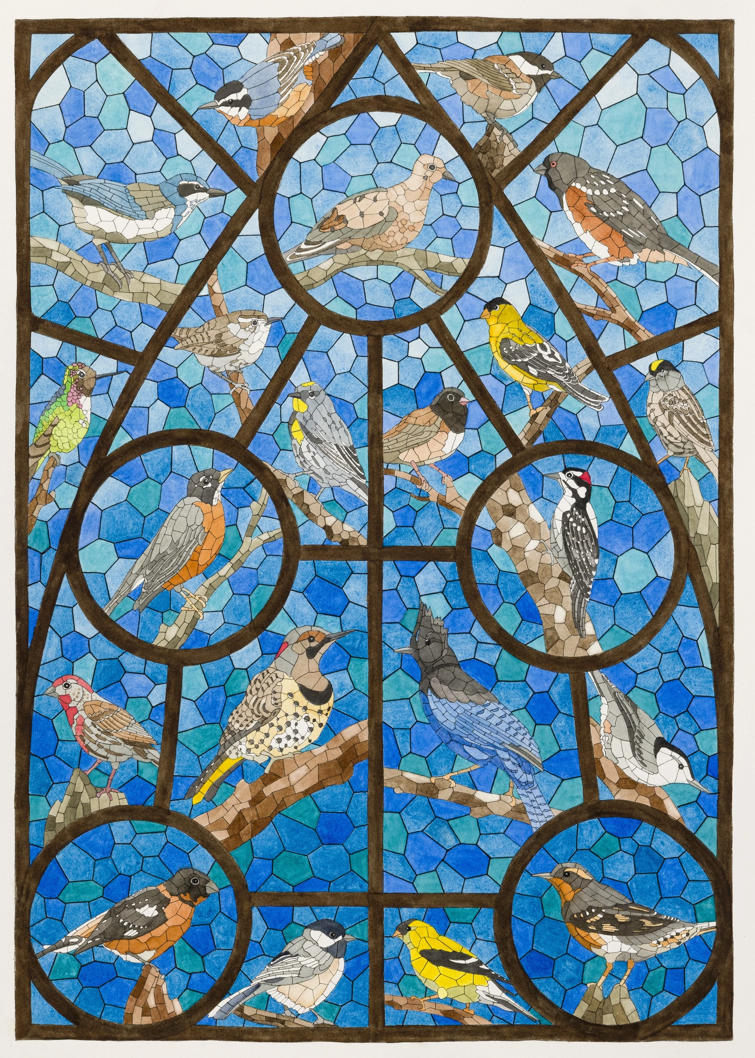 David Cohen, Backyard Sanctuary