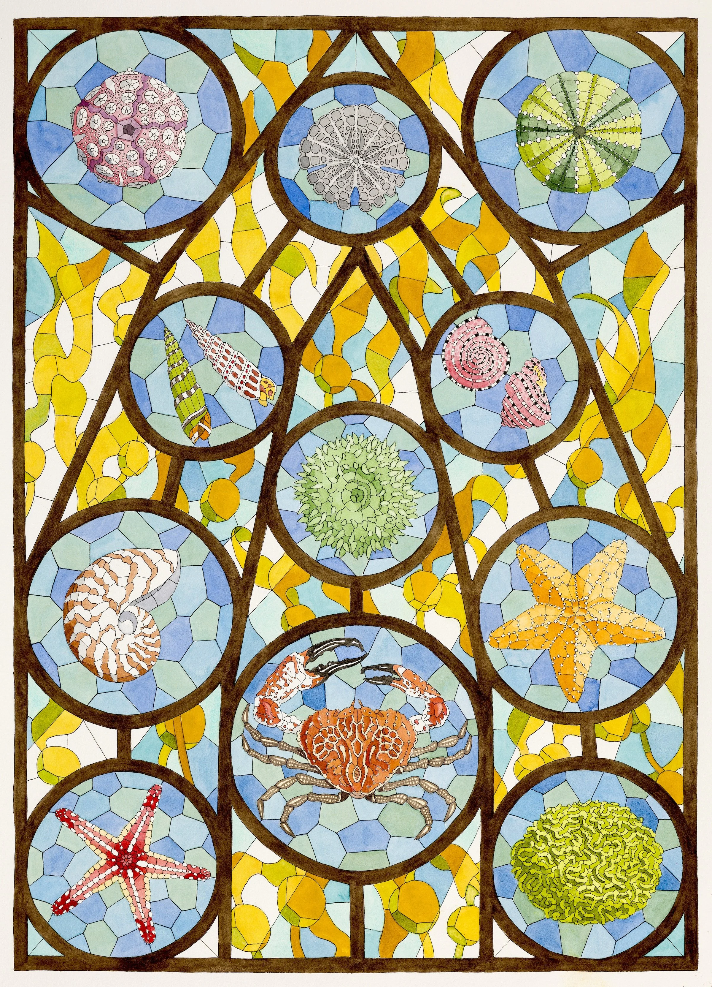 David Cohen, Ocean Sanctuary