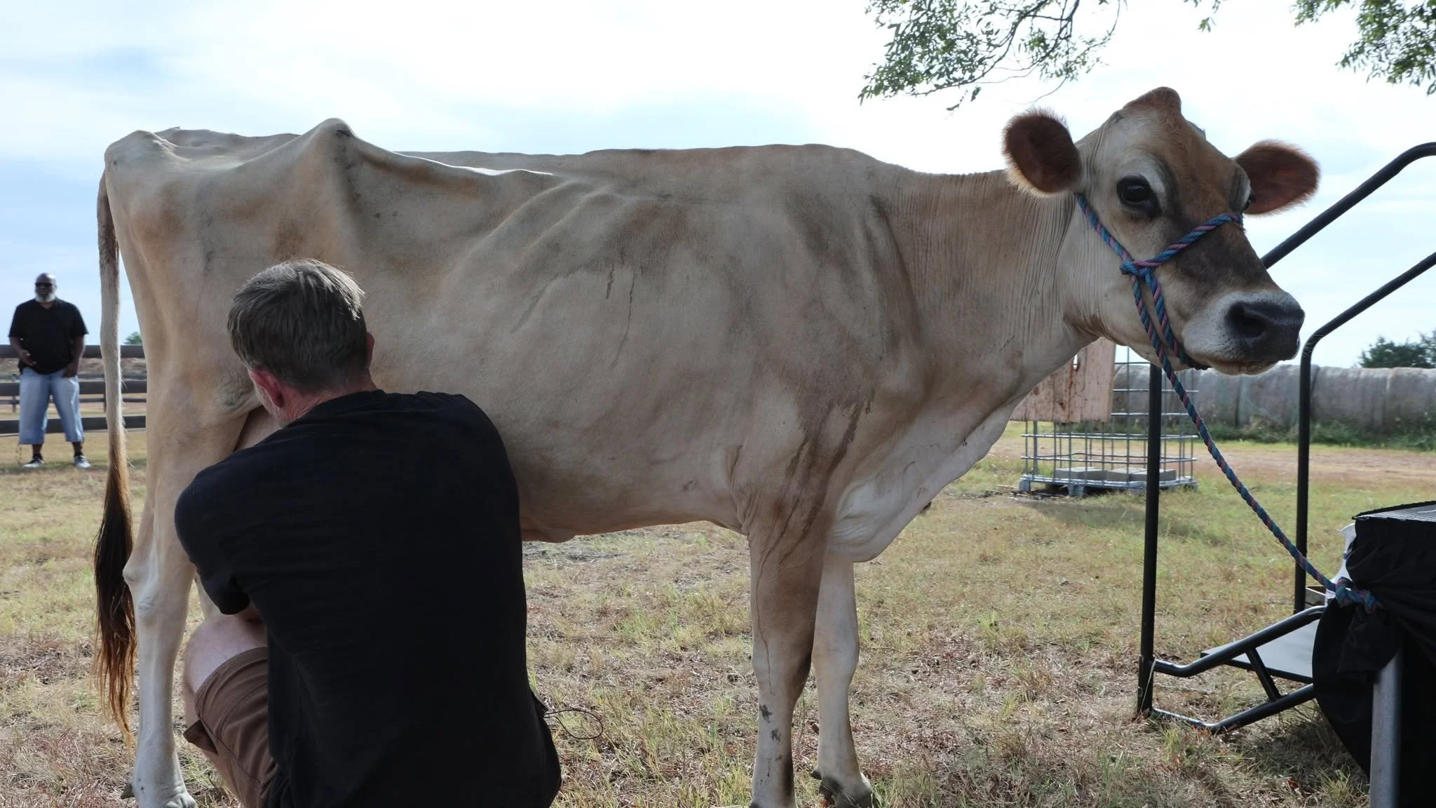 40 acre comeback summit_mars hill farm.jpg