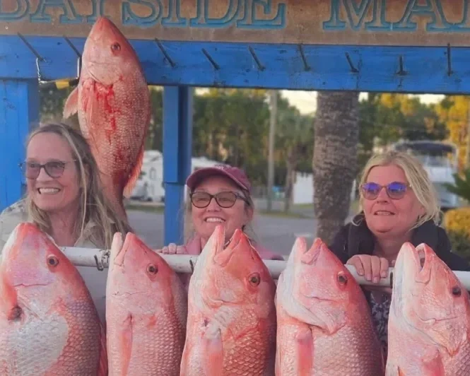 Red Snapper Season Update – 2026 Dates