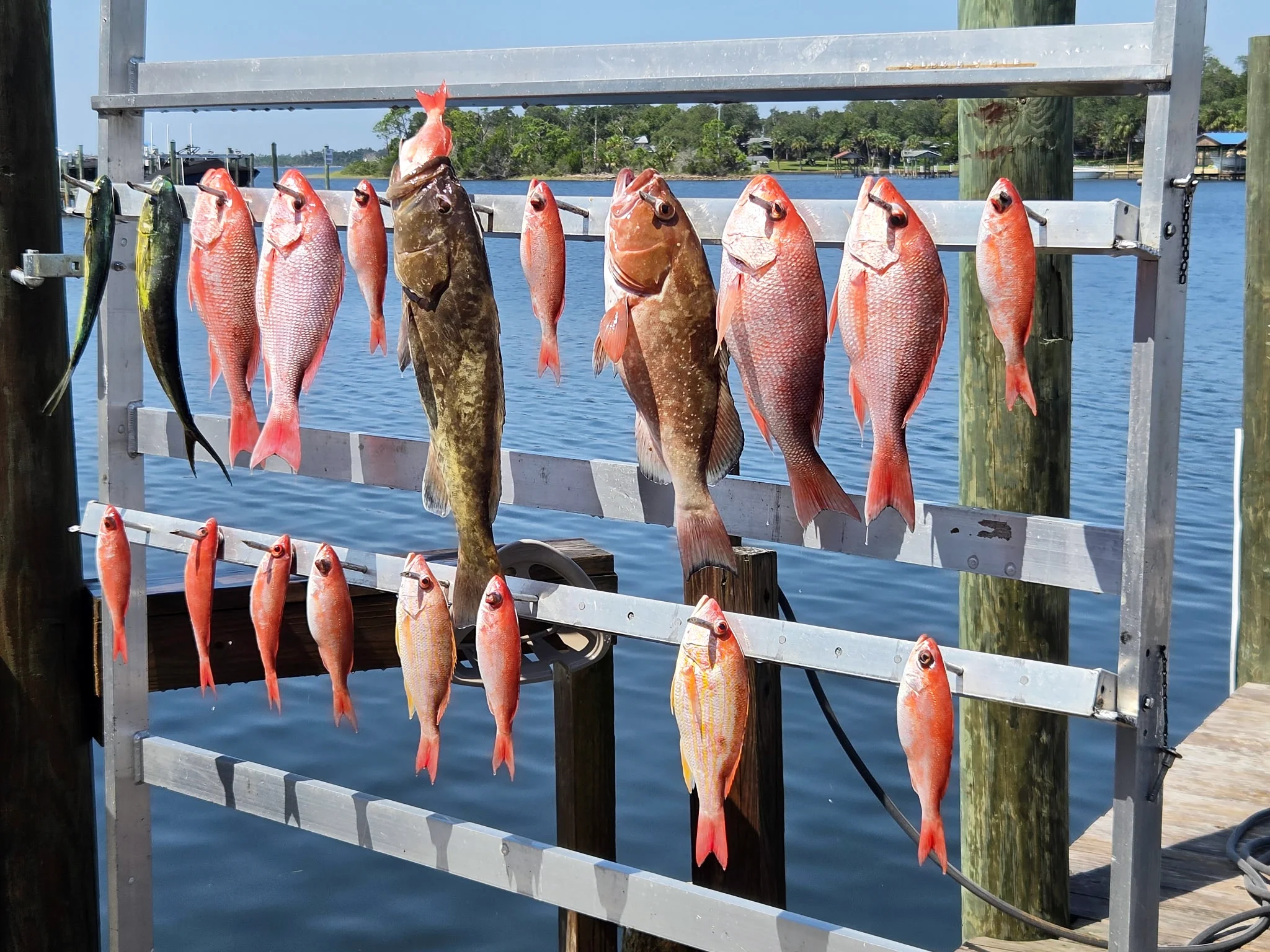 Emerald Coast Fishing Update - This Week