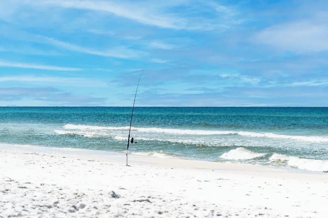 Fishing pole set up on the beach along the Emerald Coast
