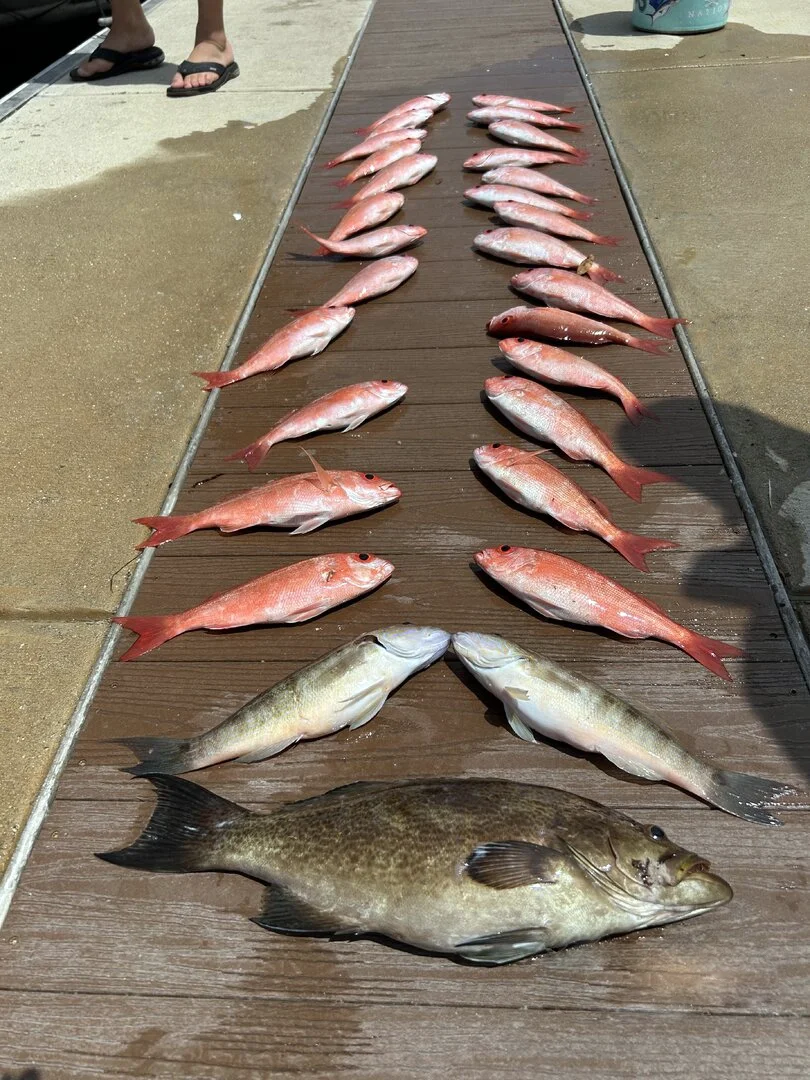 Fish presented on a dock after another successful fishing trip on the Emerald Coast of Florida with Bluewater Charter