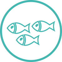 Icon of a group of Gulf fish