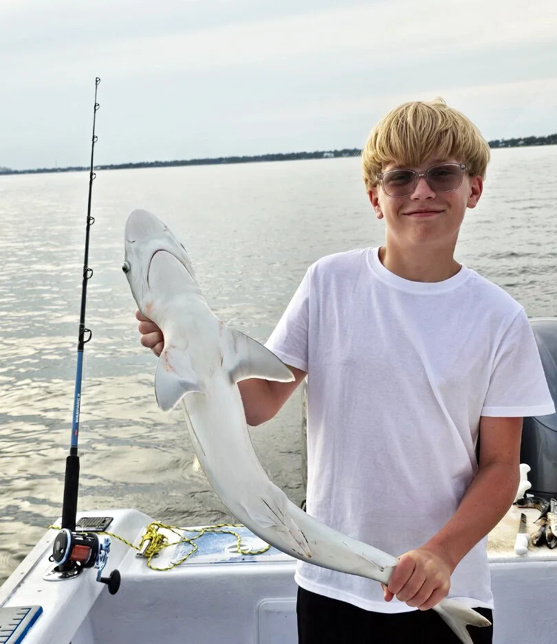 A young boy holds up a small shark he caught with Bluewater Charter along the Gulf Coast of Florida