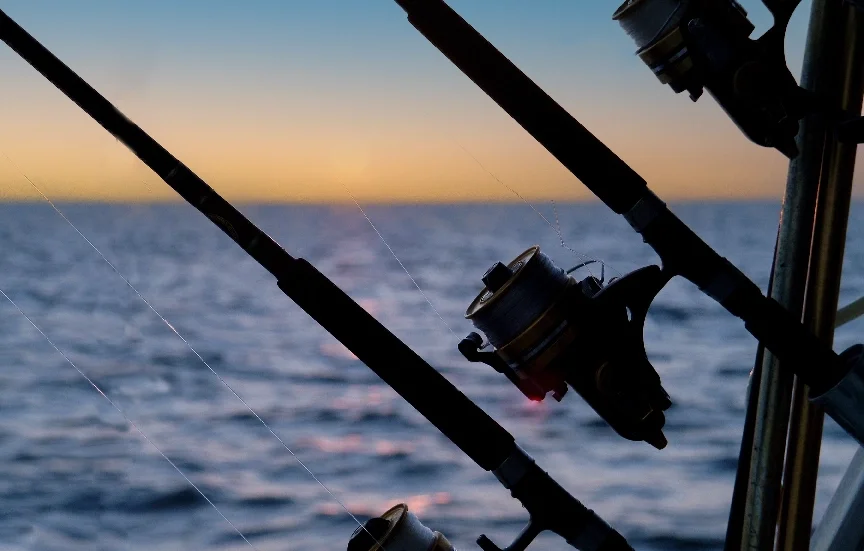 Fishing rods with lines in the water during sunset in the Gulf