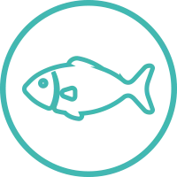 Icon of large Gulf fish