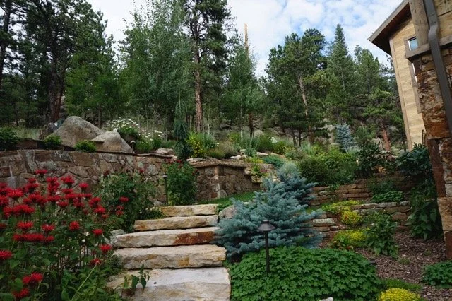 Drive to Fire Pit detailed close up 2.jpeg