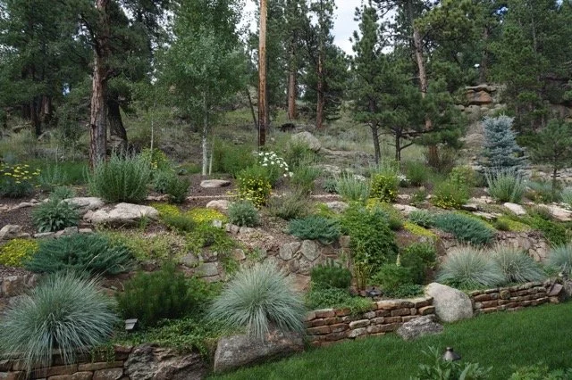 Middle of lawn to mountain.jpeg