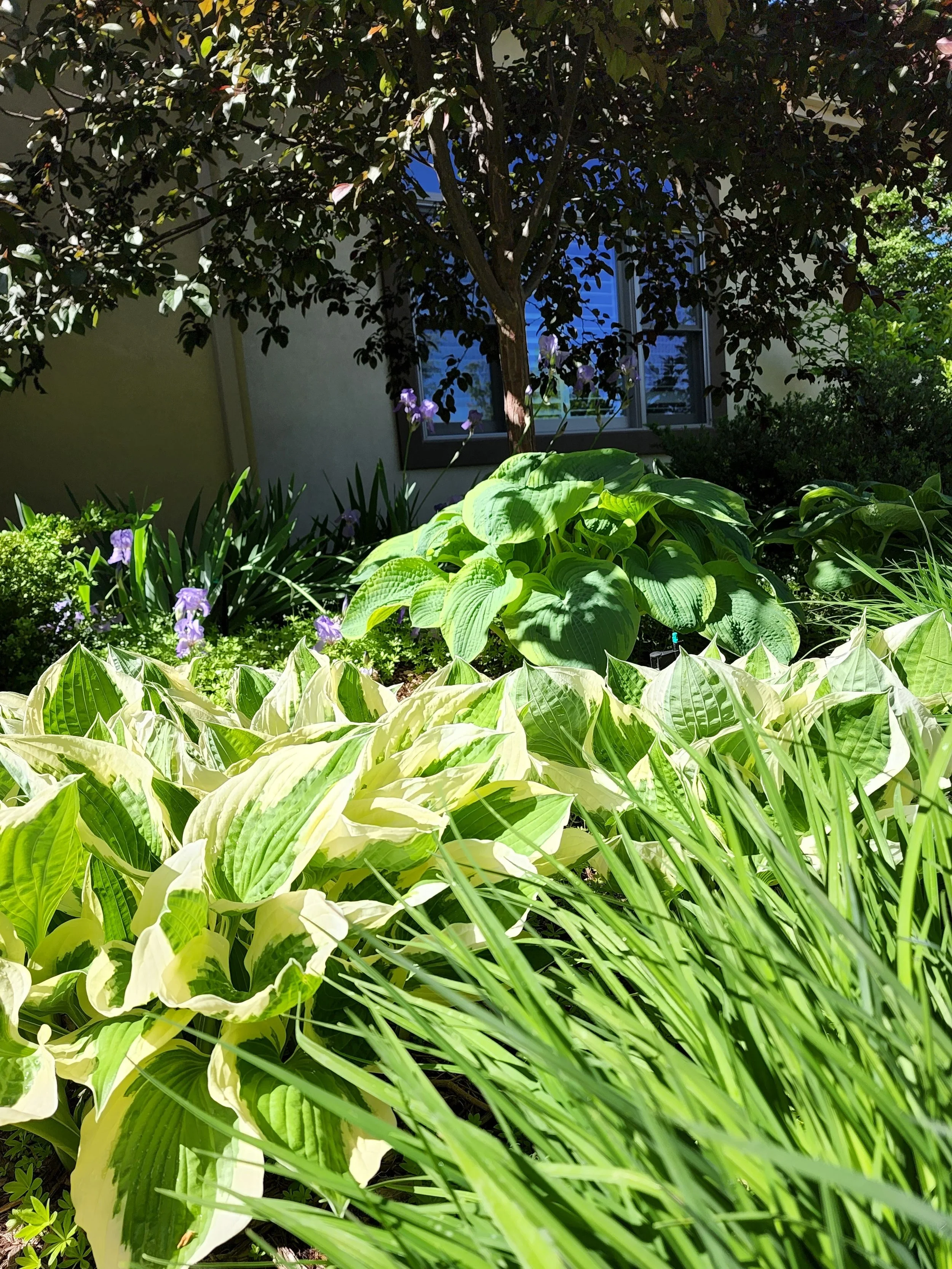 20220604_100426.jpg