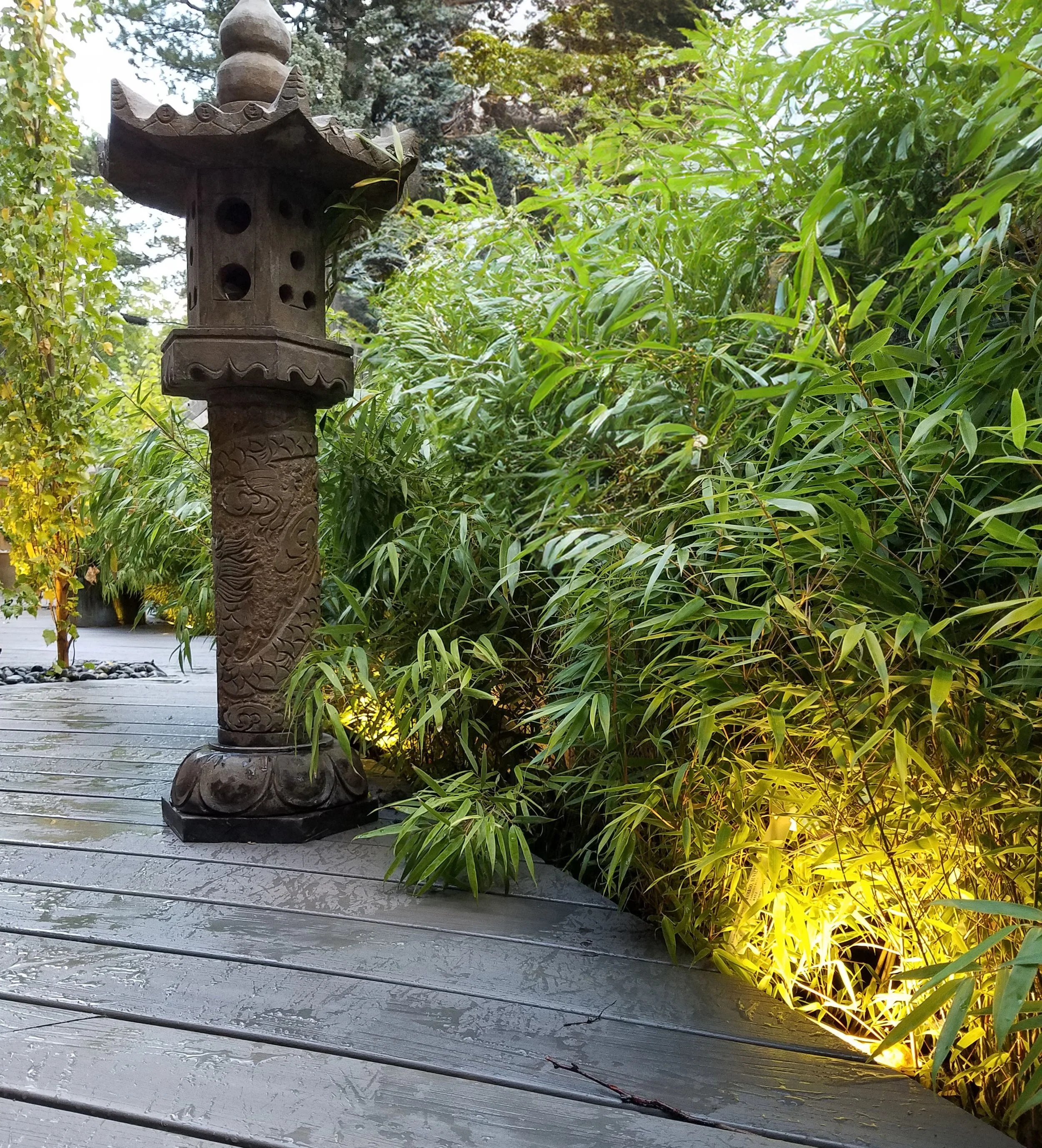 20171003_180832 copy.jpg