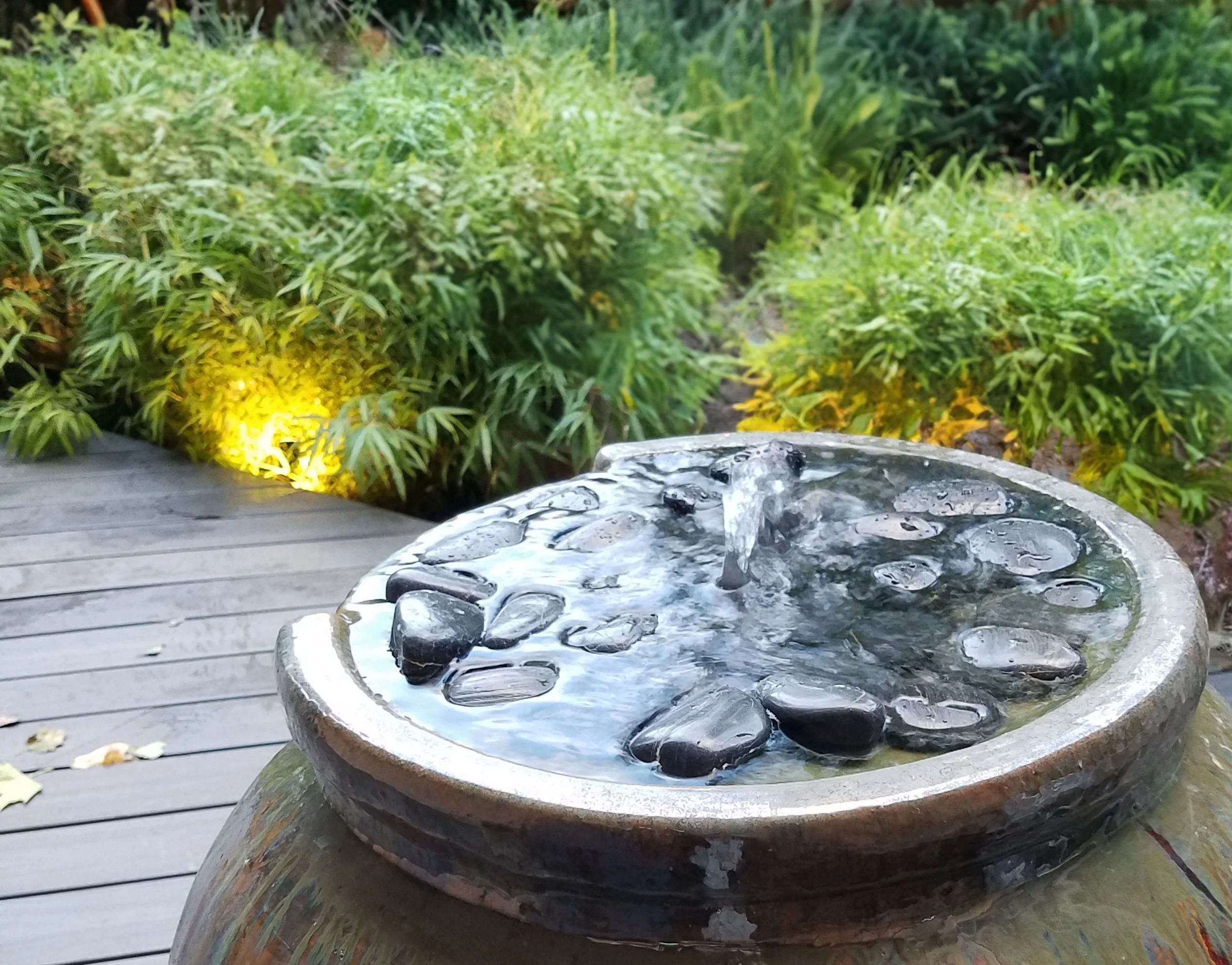 20171003_180725 2 copy.jpg