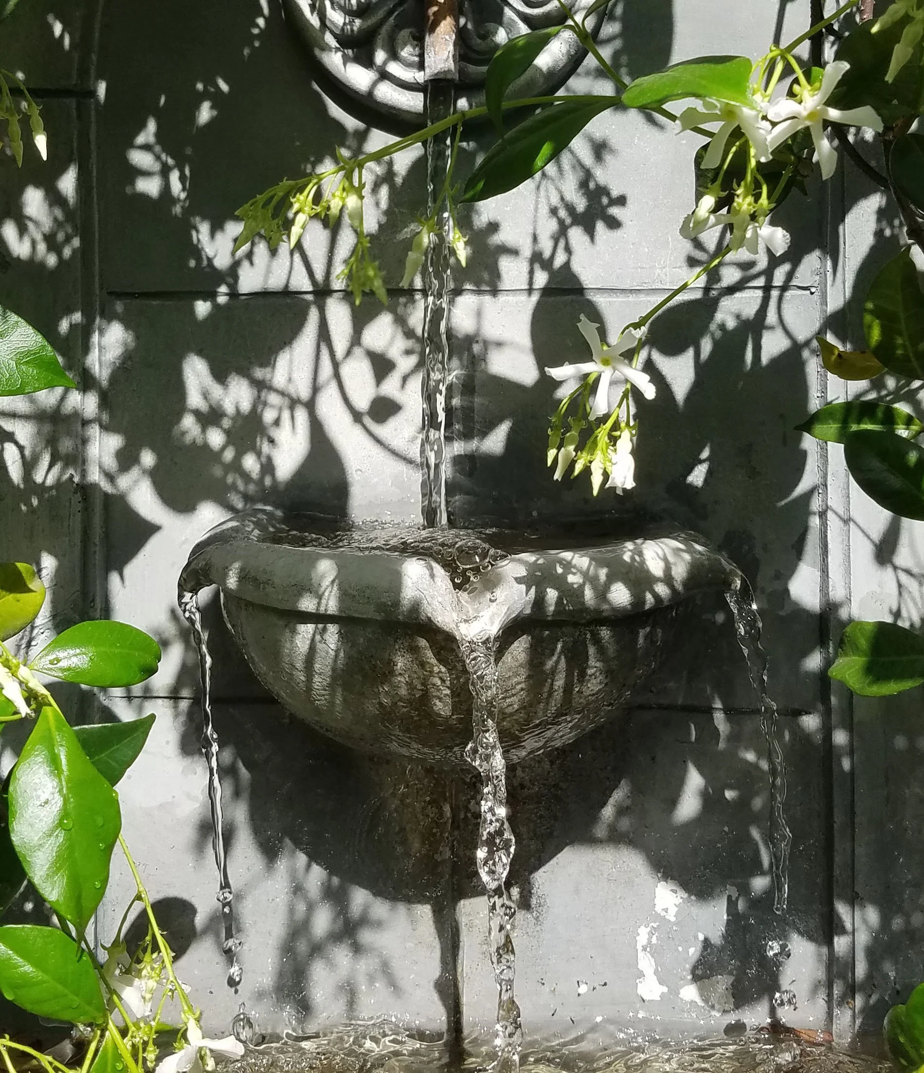 Fountain cropped.jpg