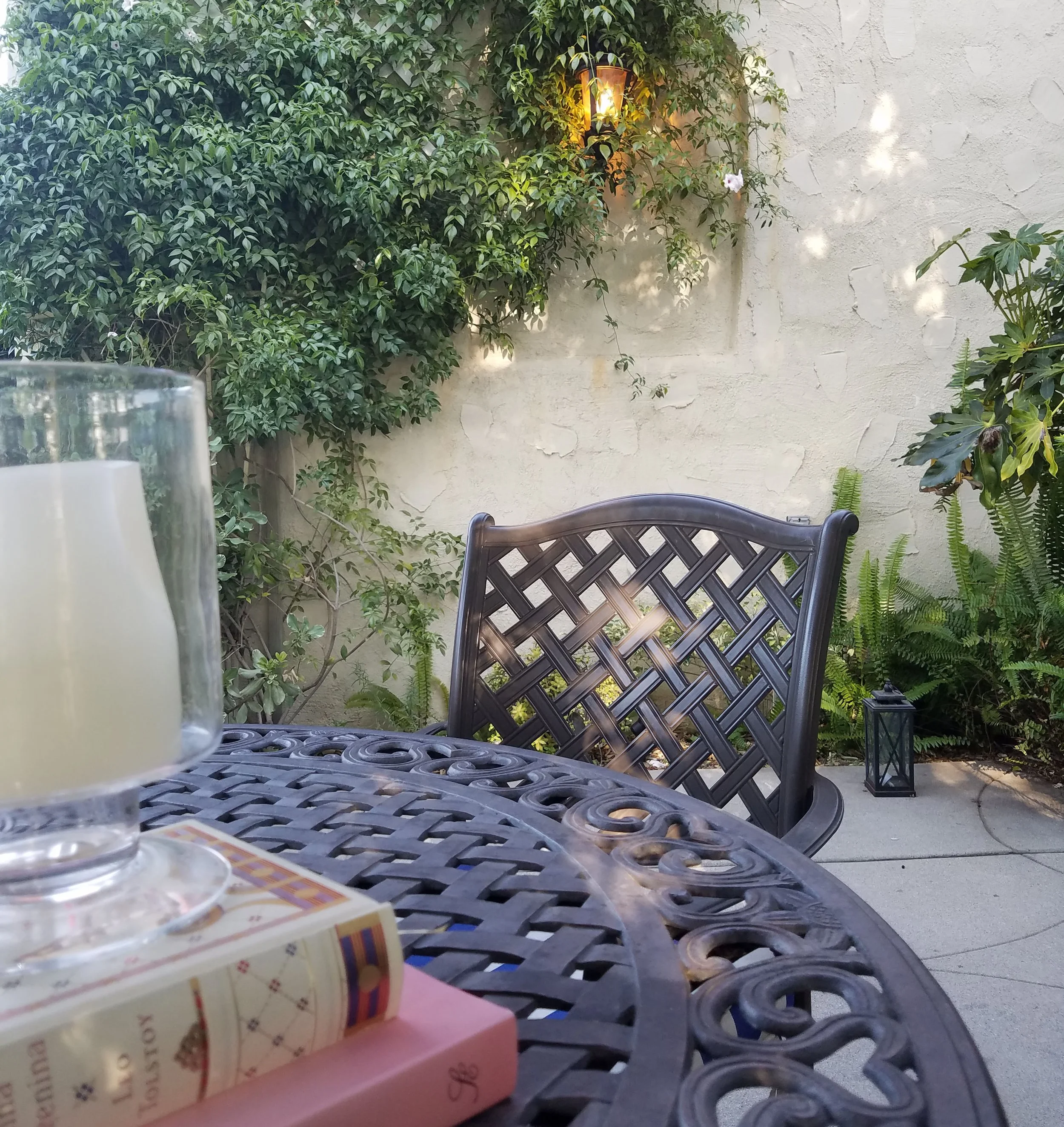 20160427_173012 cropped.jpg