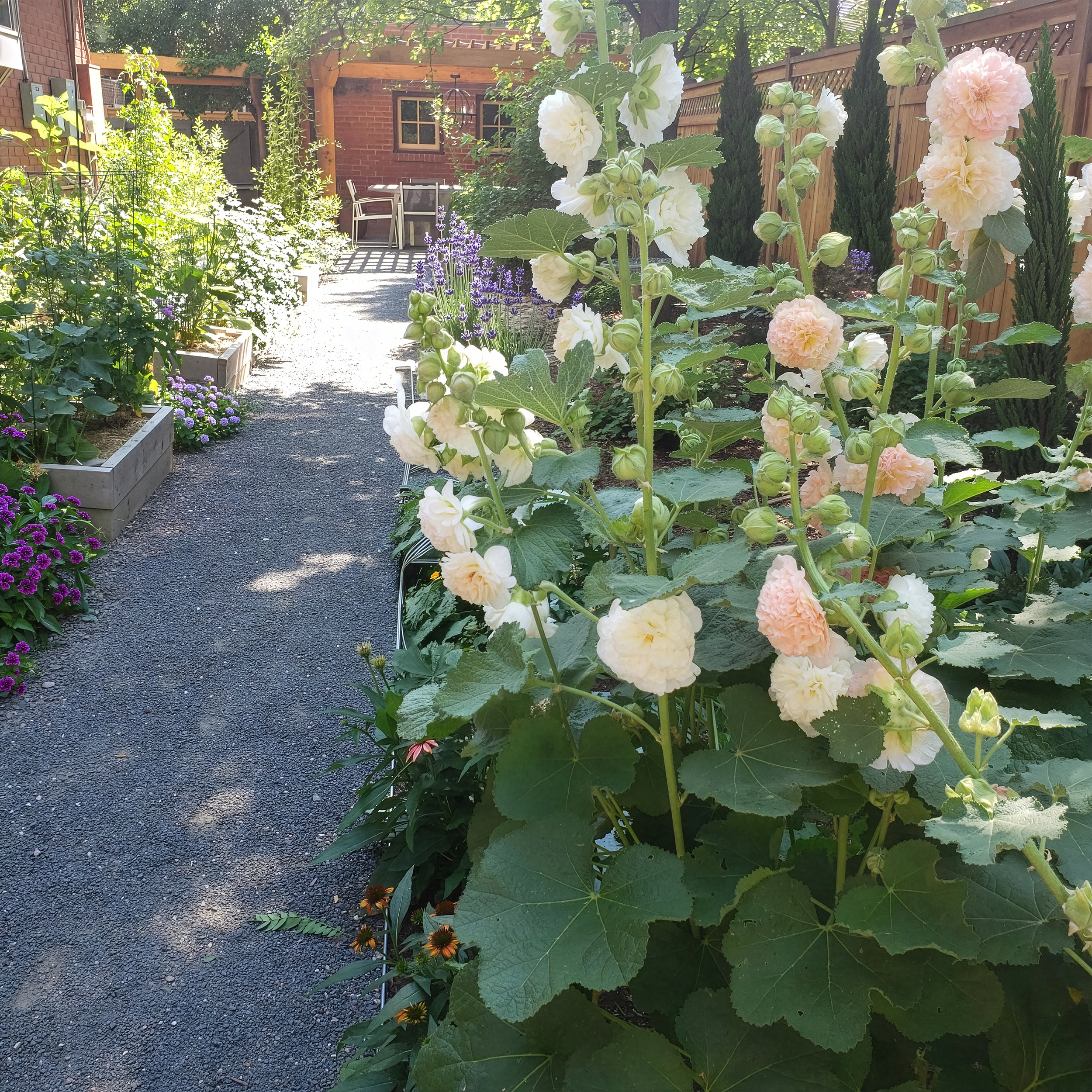 Rustic Natural Living — Colorado Edition