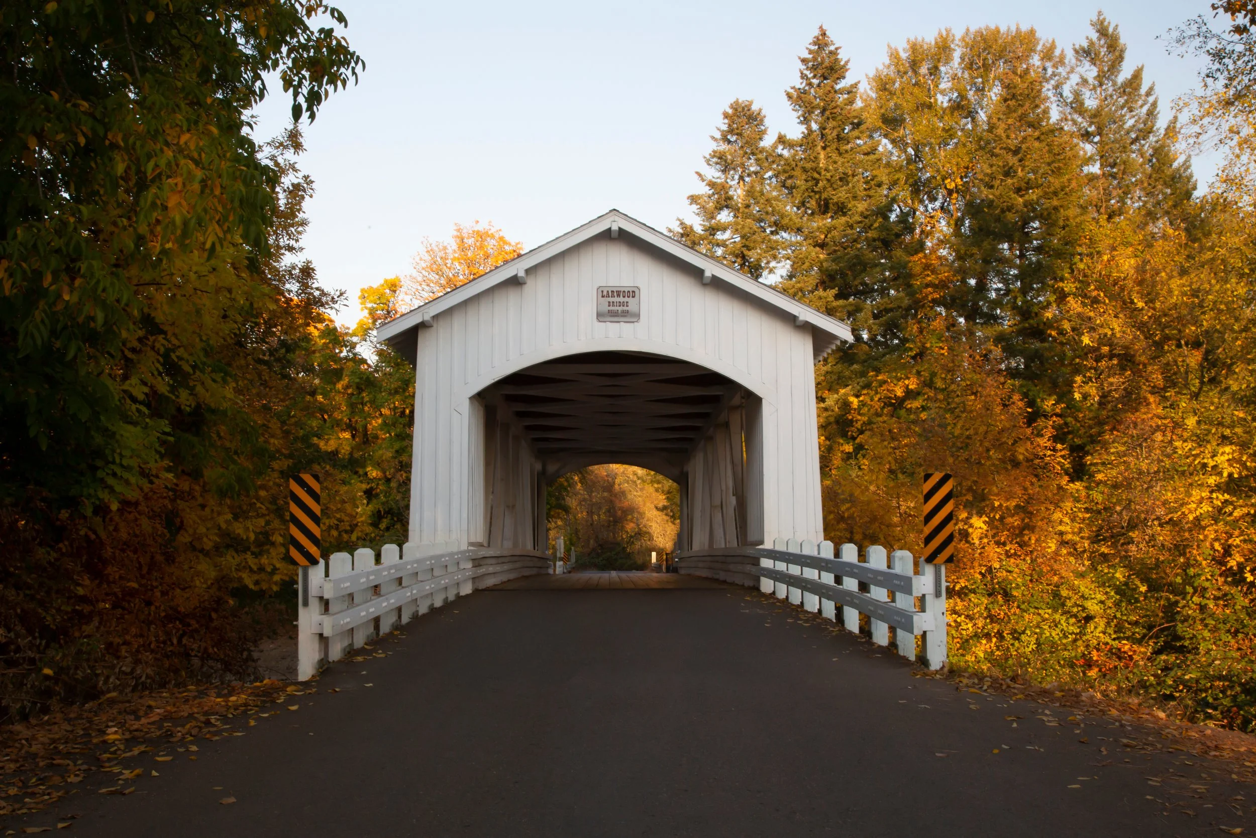 Blog 3 — The Local Edge — 12.12.25: The Secret Weapon That Reclaims 25% of Your Team’s Time - High-Impact Standard Operating Procedures