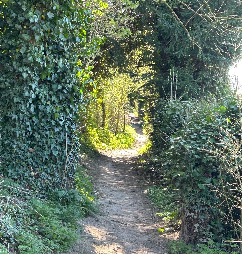 Light at the end of the tunnel 