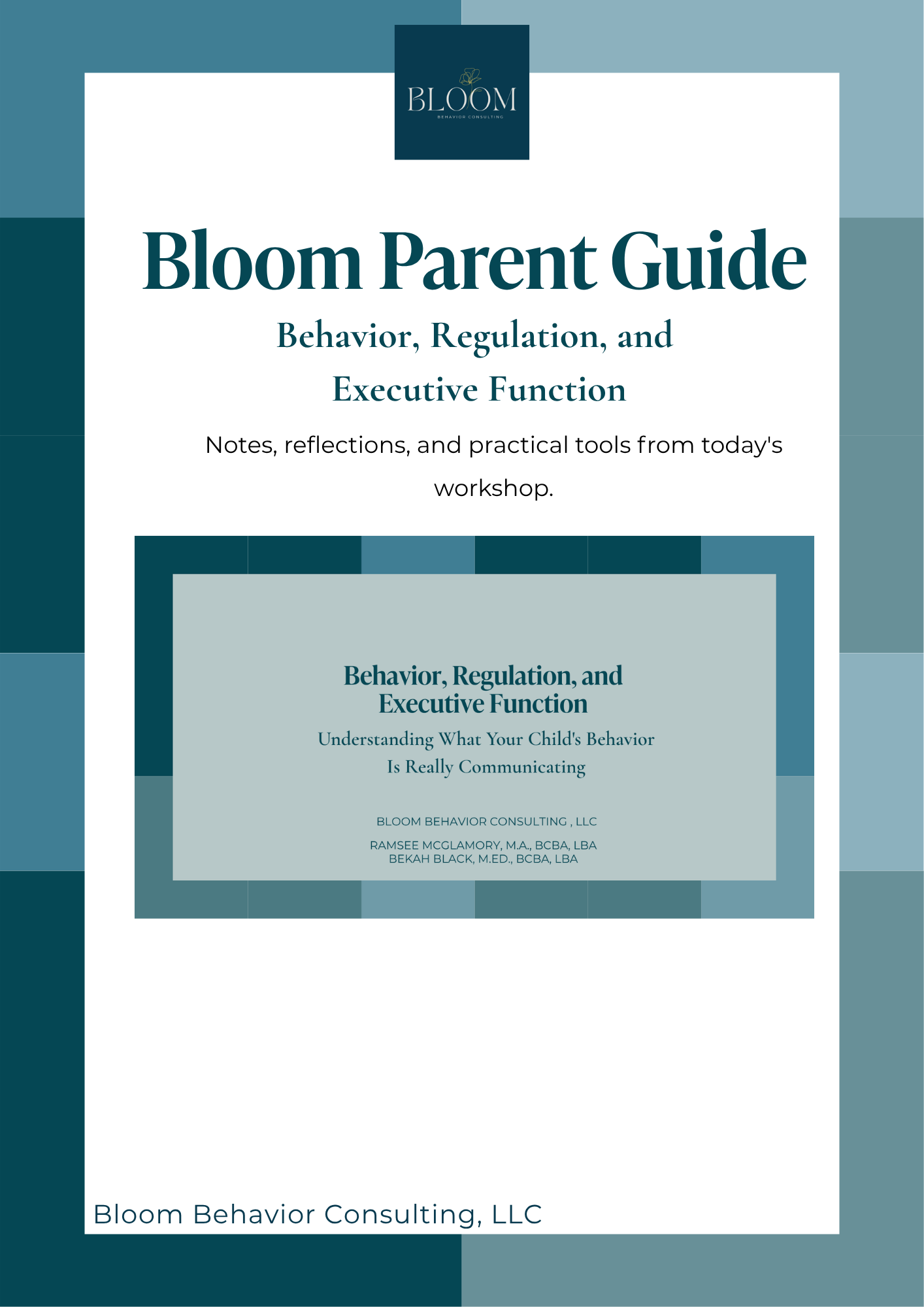 Parent Guide for Behavior, Regulation, and Executive Function Training 