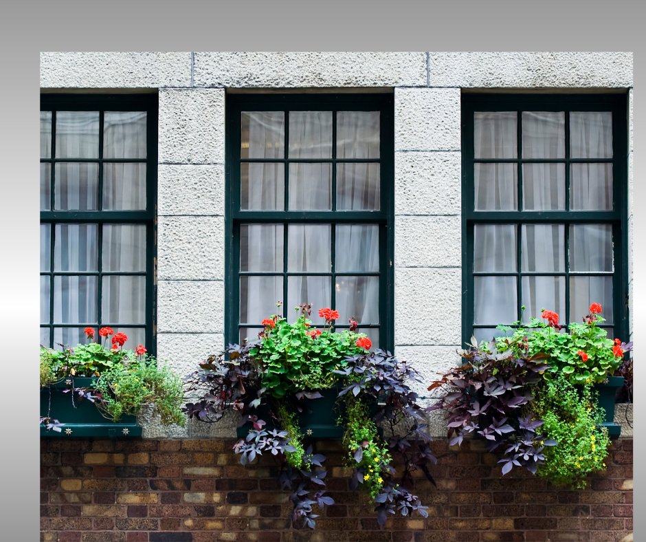 Three black windows with flower planters in front of them.