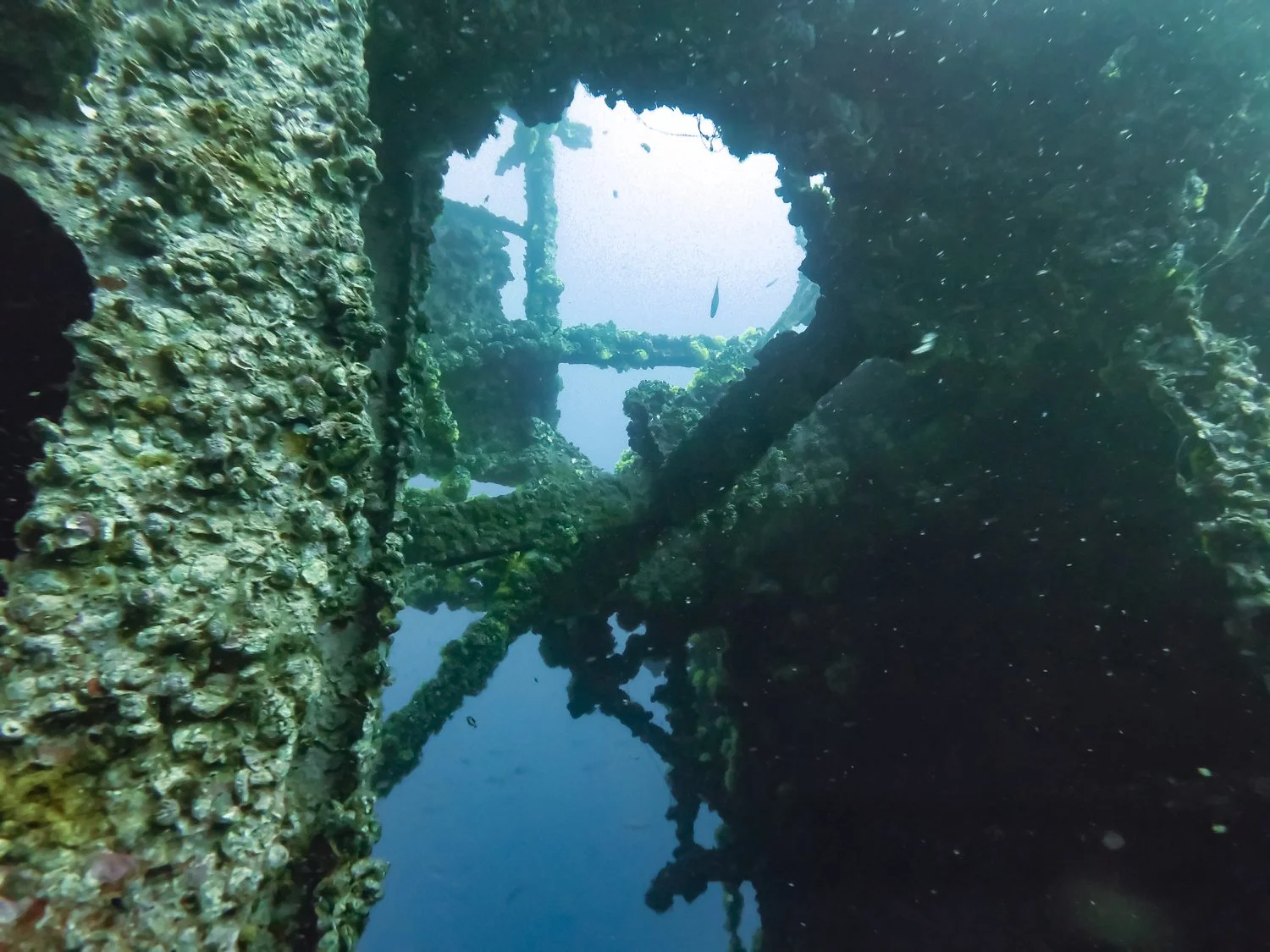 MICR0688.jpg