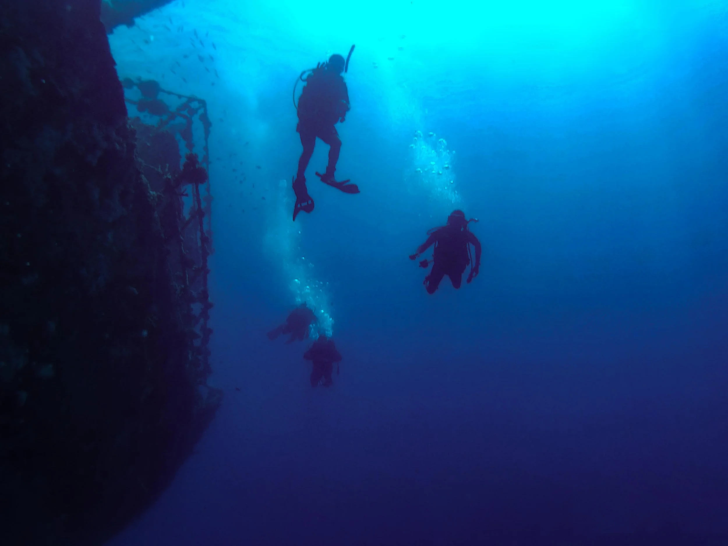 YÚCATÁN DIVE TRIP